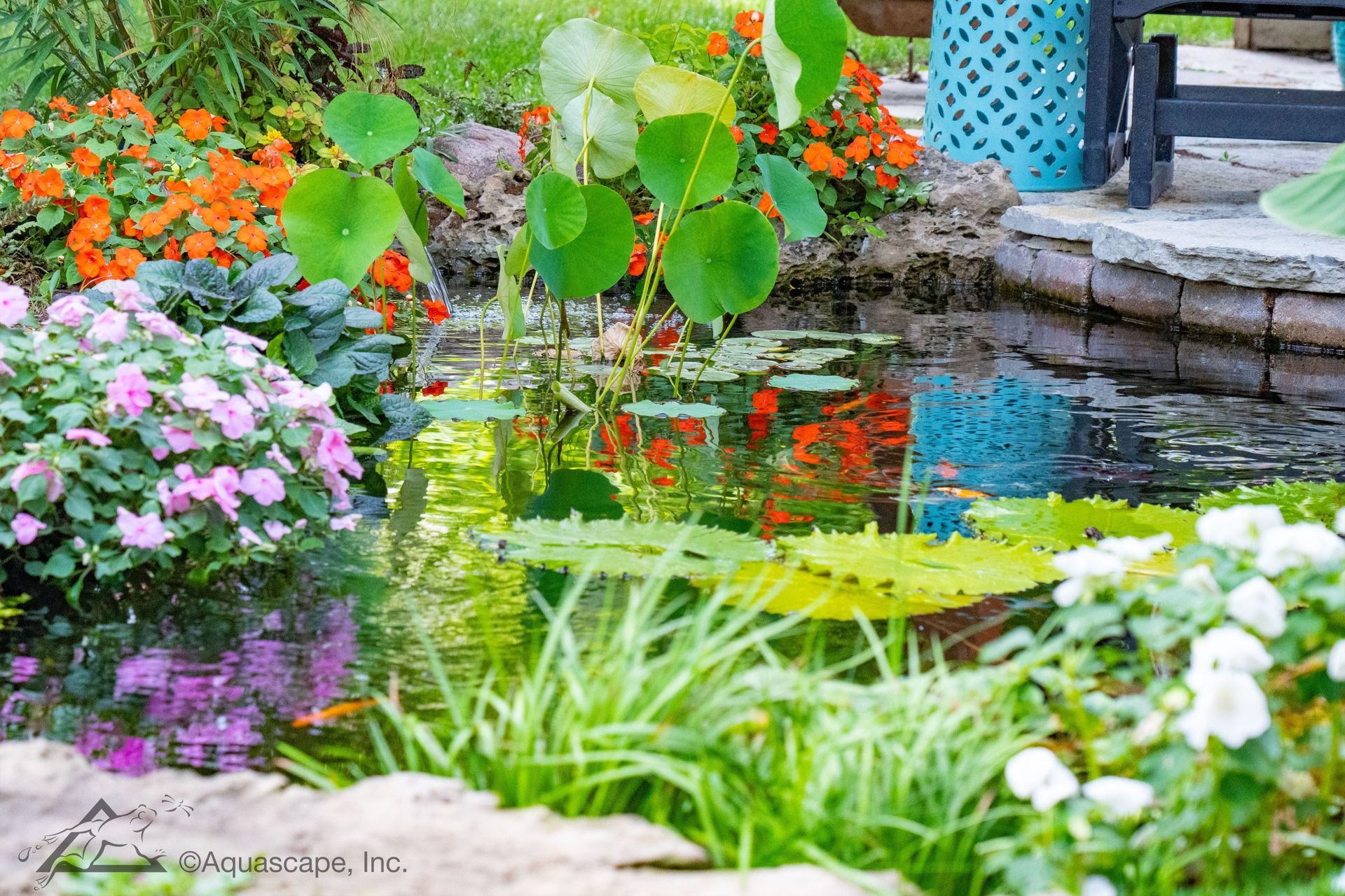 A vibrant garden pond with water lilies, surrounded by colorful flowers and greenery.