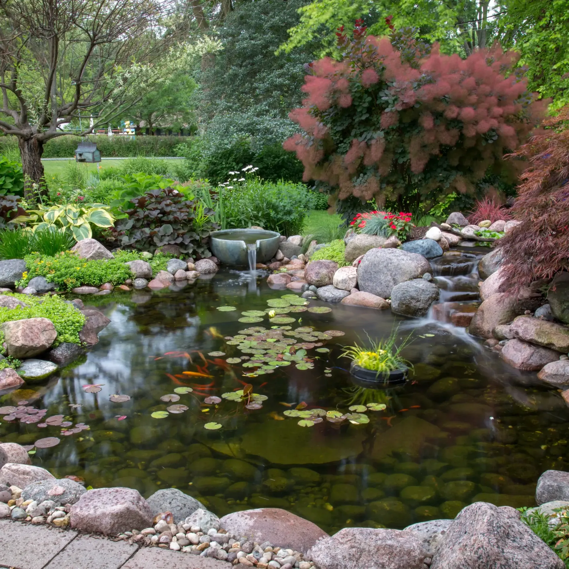 A serene garden pond with a waterfall, lily pads, and colorful fish, surrounded by lush greenery and rocks.