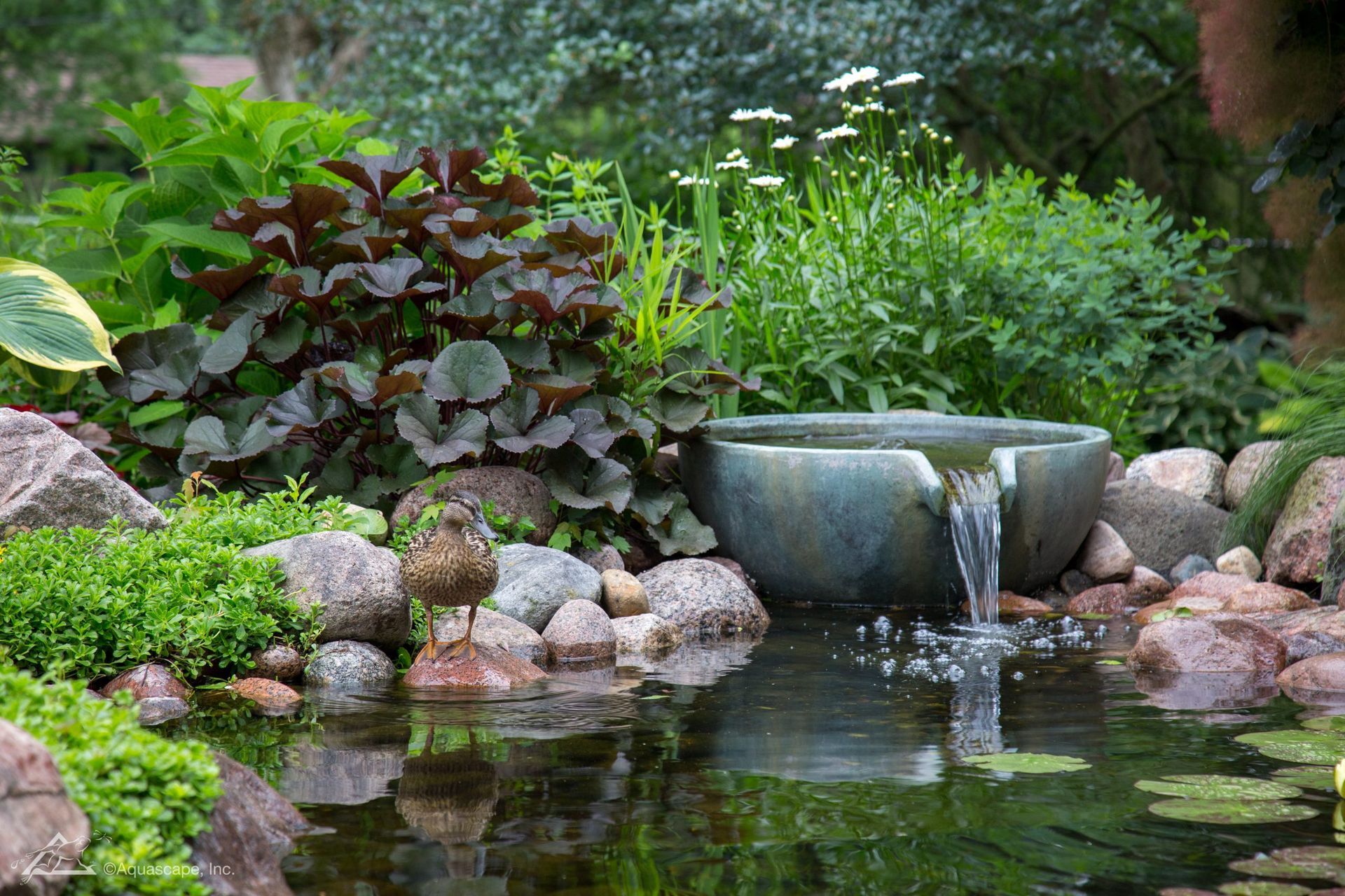 Water feature in a garden, with a stone basin, flowing water, rocks, and lush green plants.