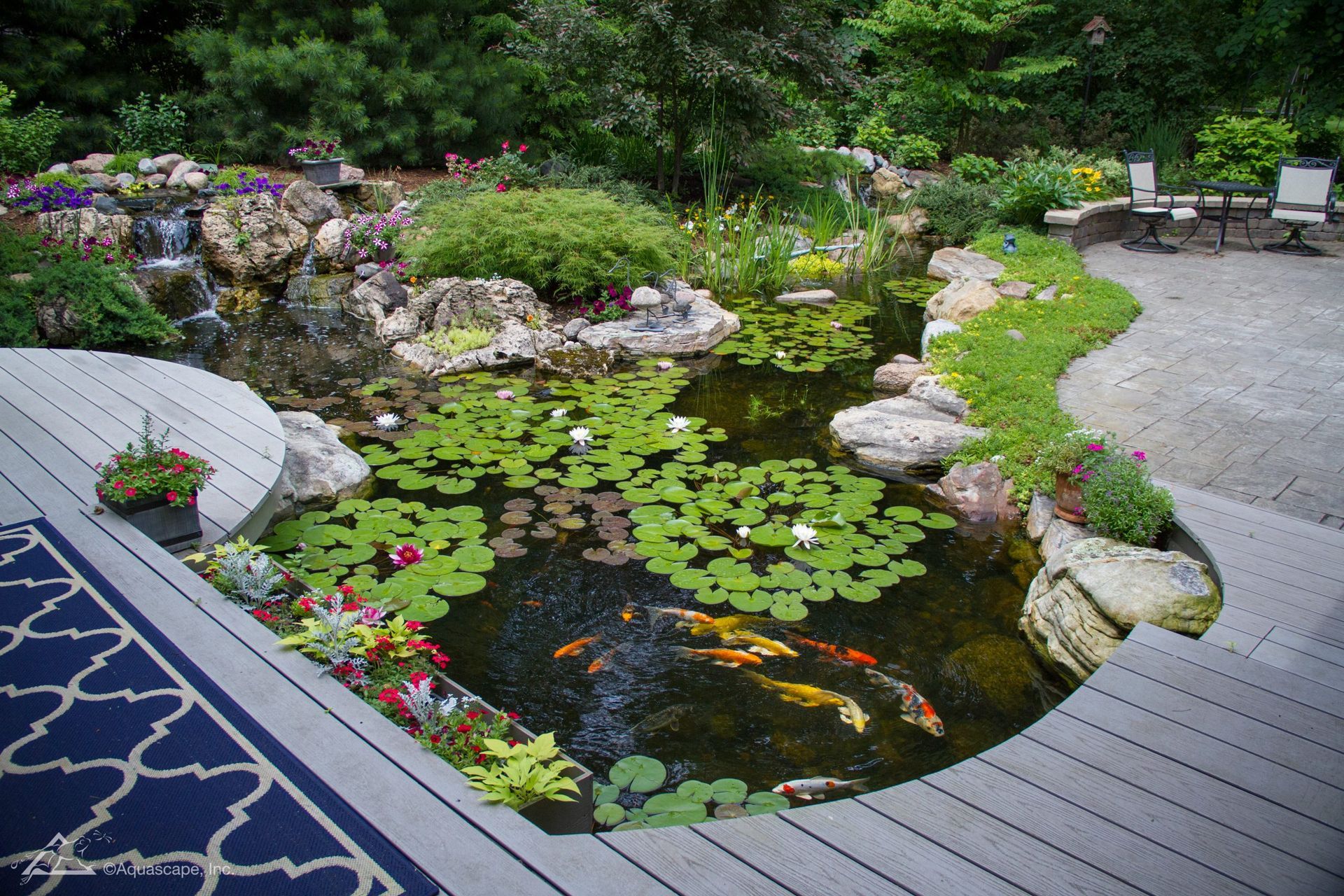 Koi pond with lily pads, waterfall, and colorful fish, bordered by a deck and landscaping.