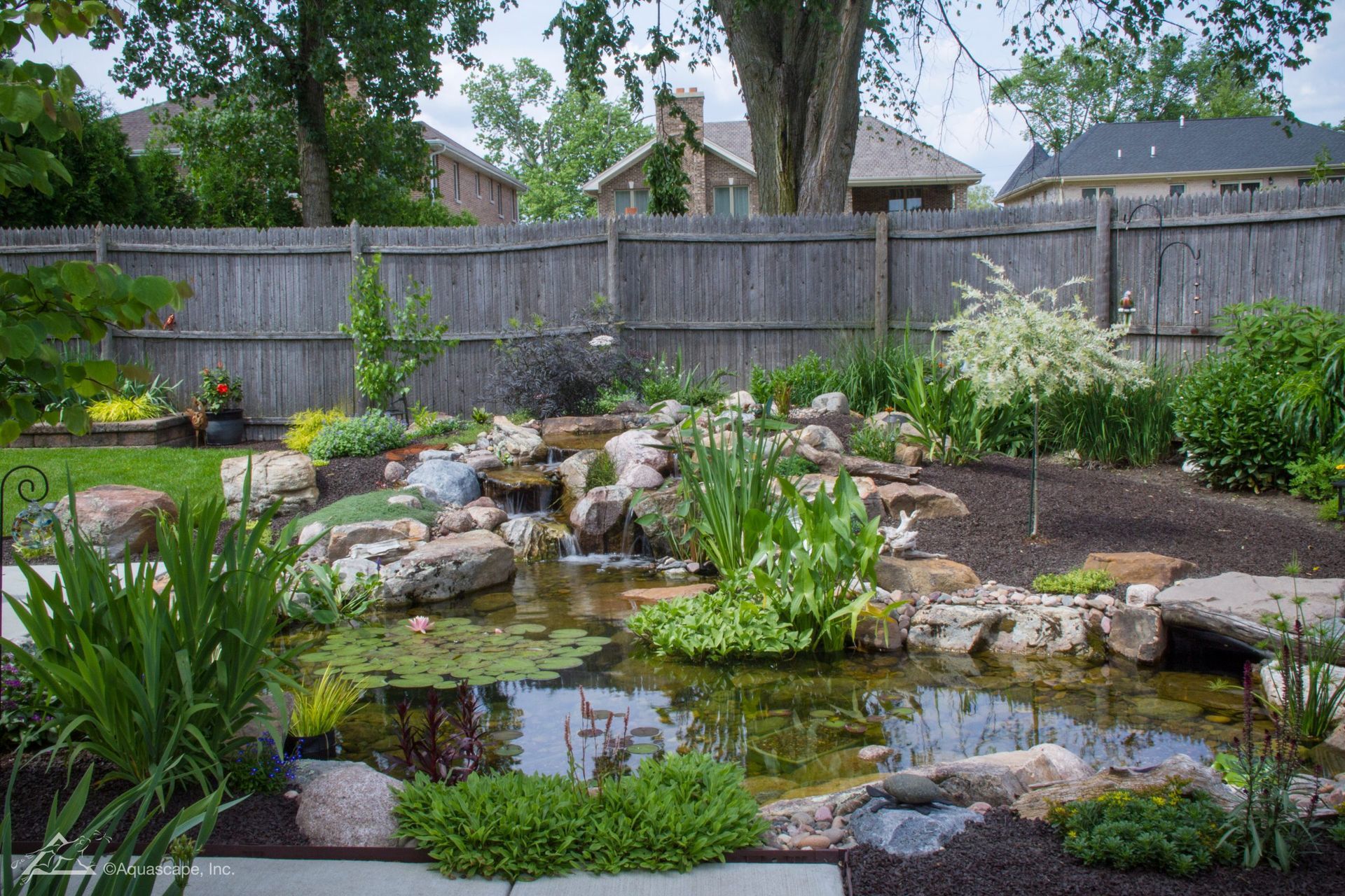 Backyard pond with waterfall, surrounded by rocks and lush greenery. Wooden fence and homes in background.