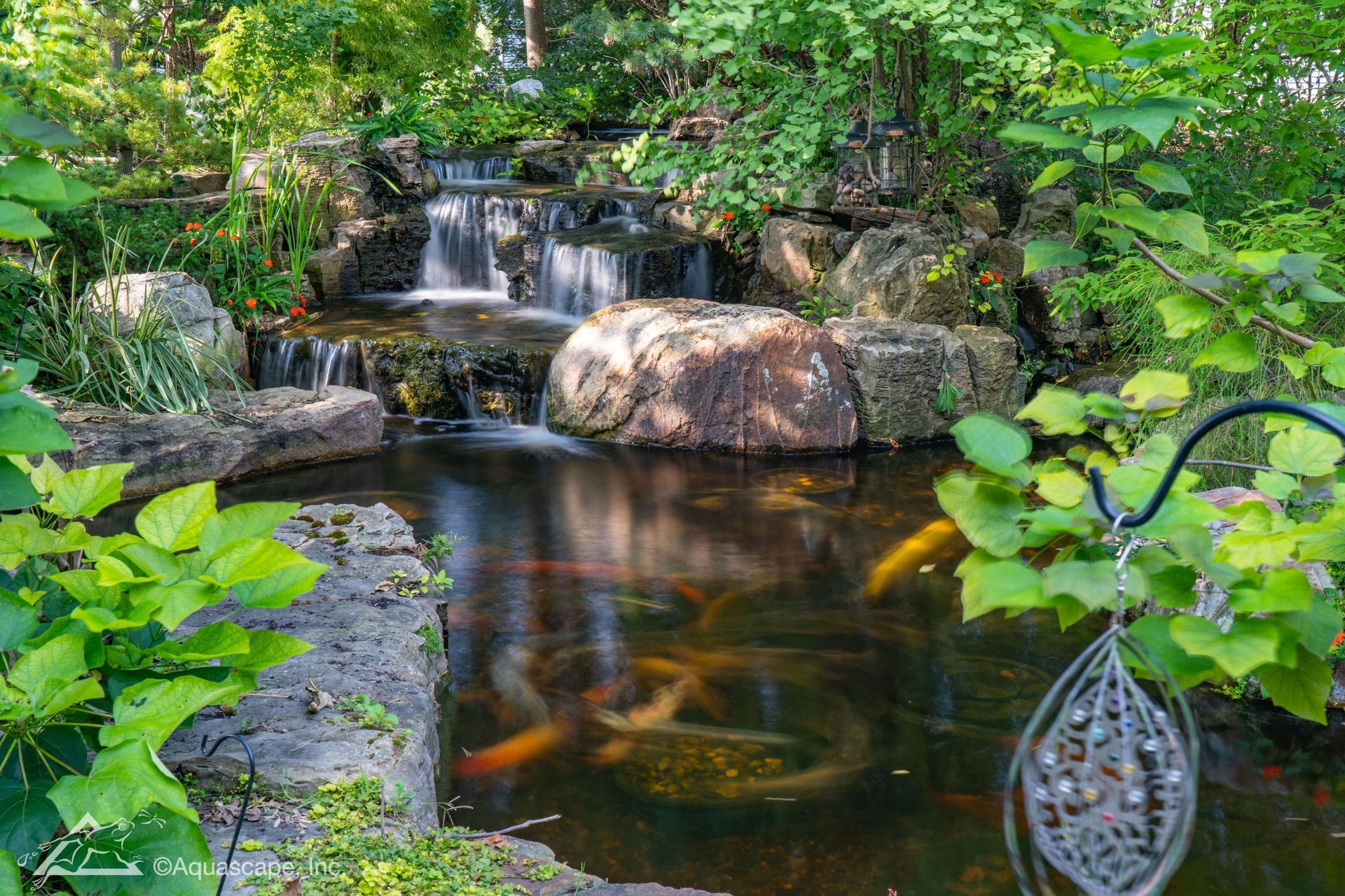 Waterfall cascading into a koi pond with orange fish; surrounded by greenery and rocks.