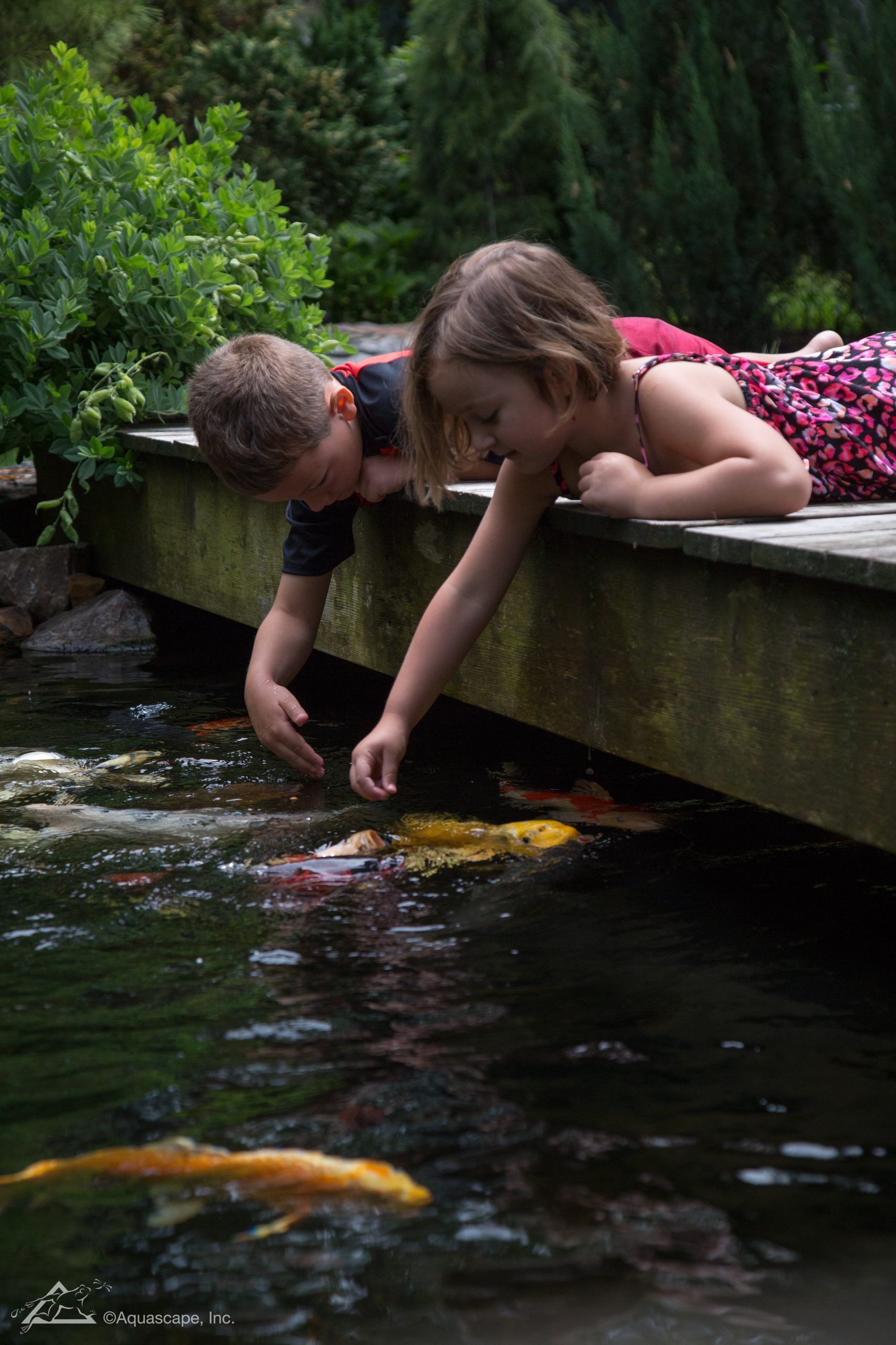 Two children feed koi fish from a wooden dock over a pond.