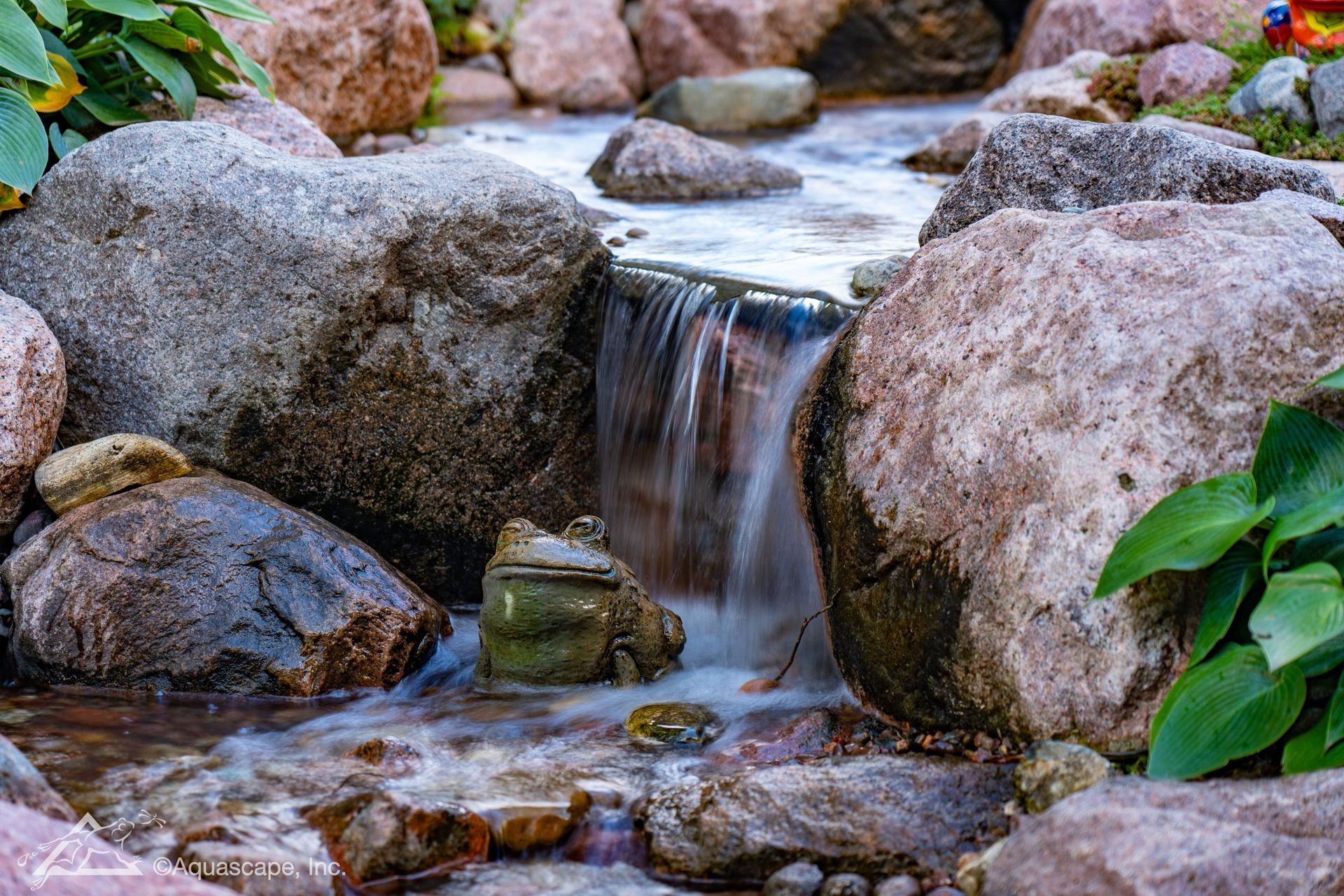 Miniature waterfall cascading over rocks in a garden setting, a frog statue sits in the water.