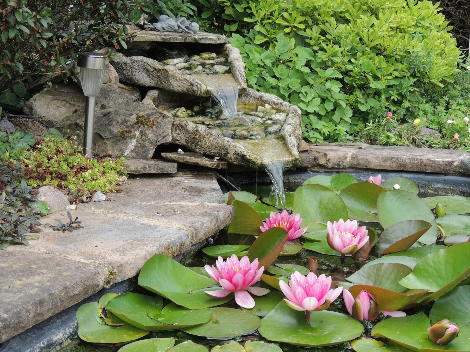Backyard Water Features
