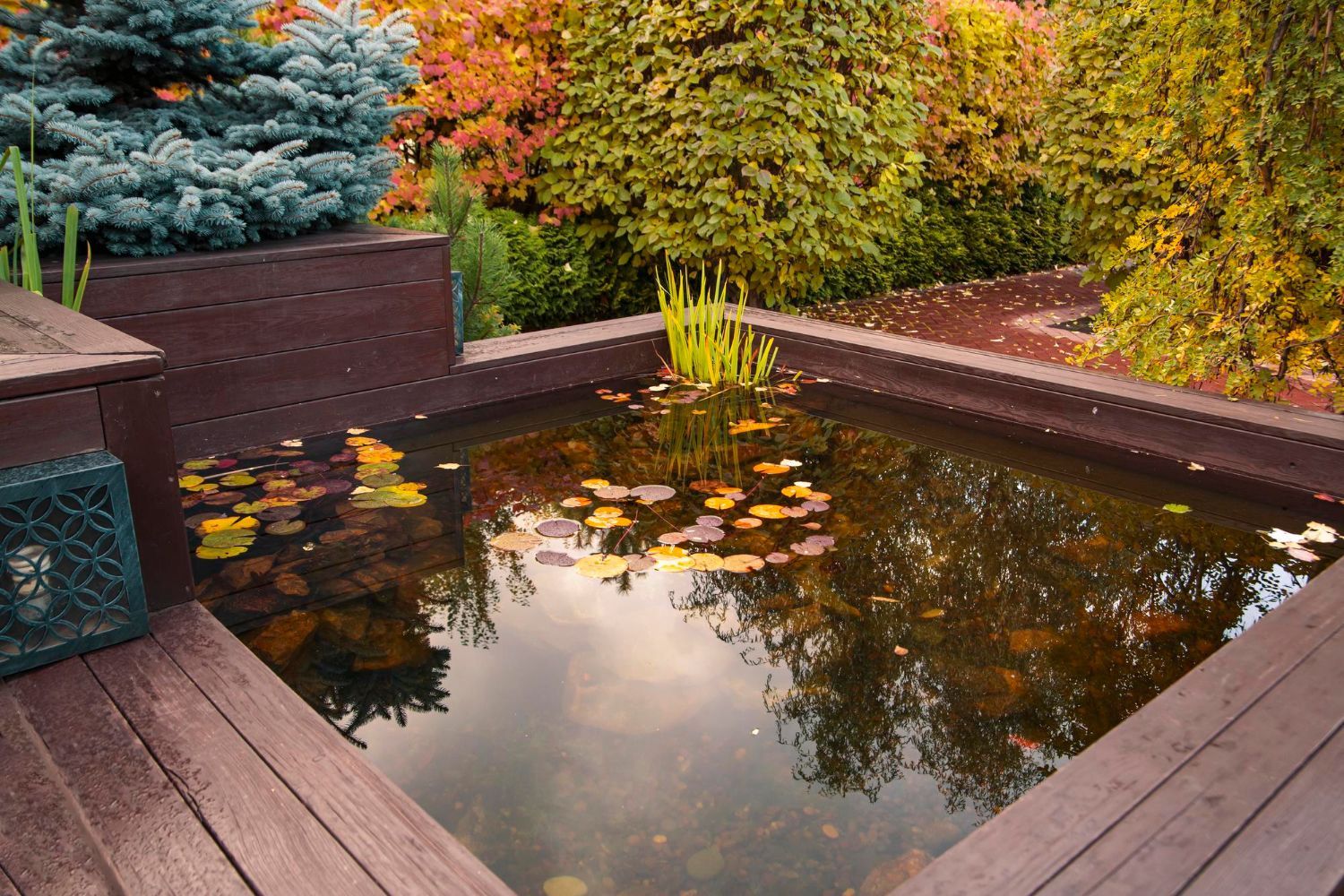 pond