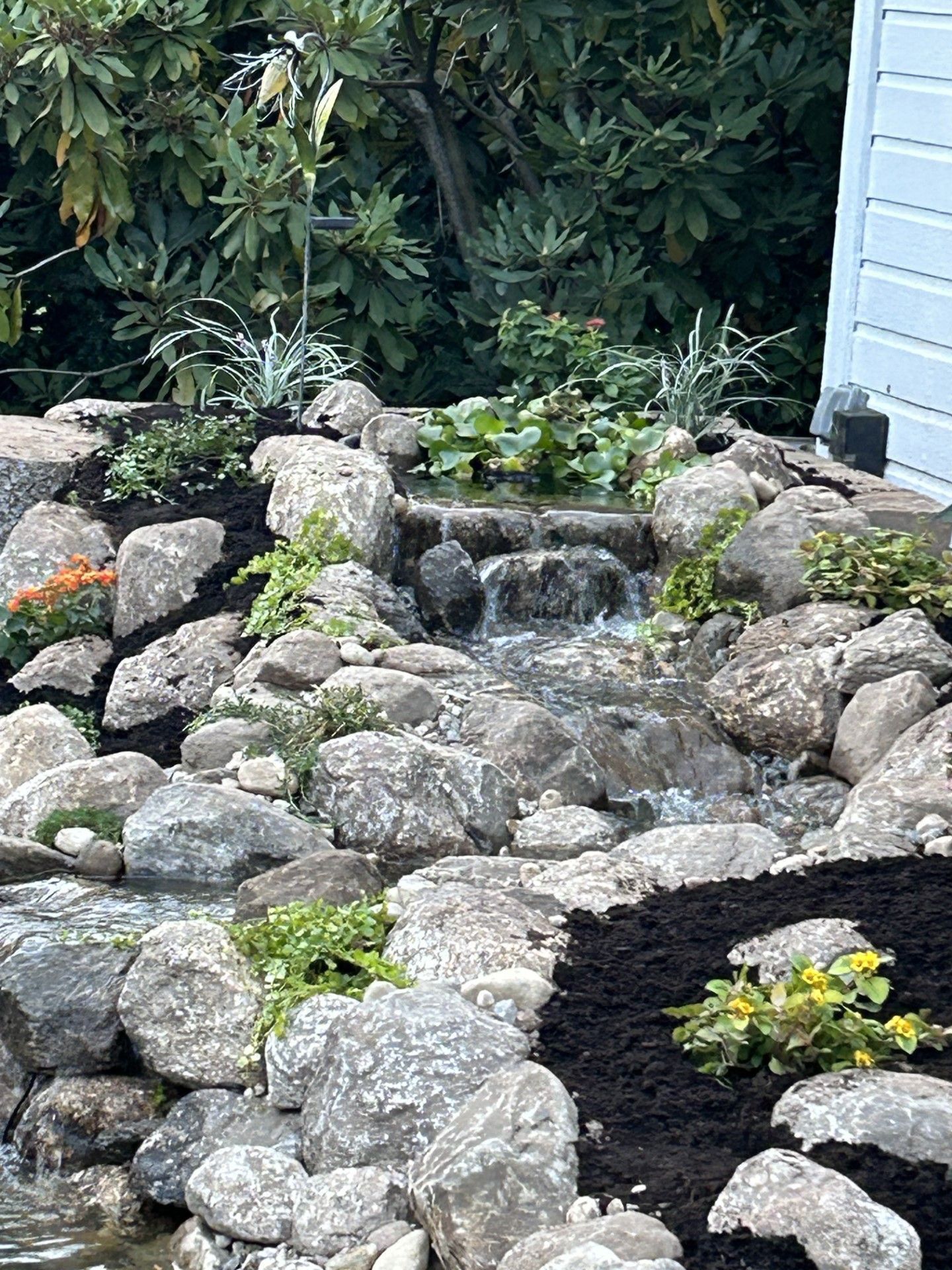 Small water feature cascading over rocks into a pond, surrounded by plants and dark mulch.