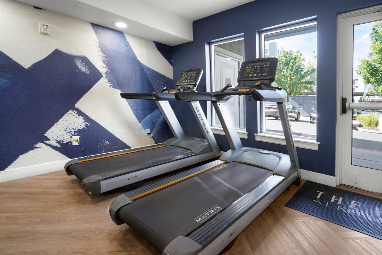 Two treadmills in a contemporary community gym with blue mural wall and windows.