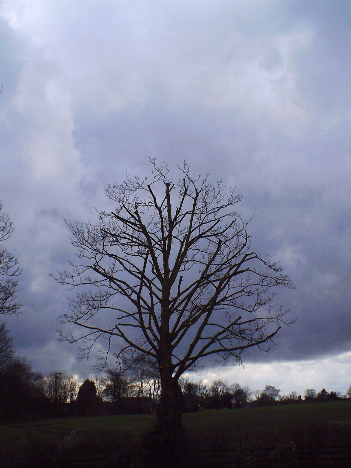 After crown reduction