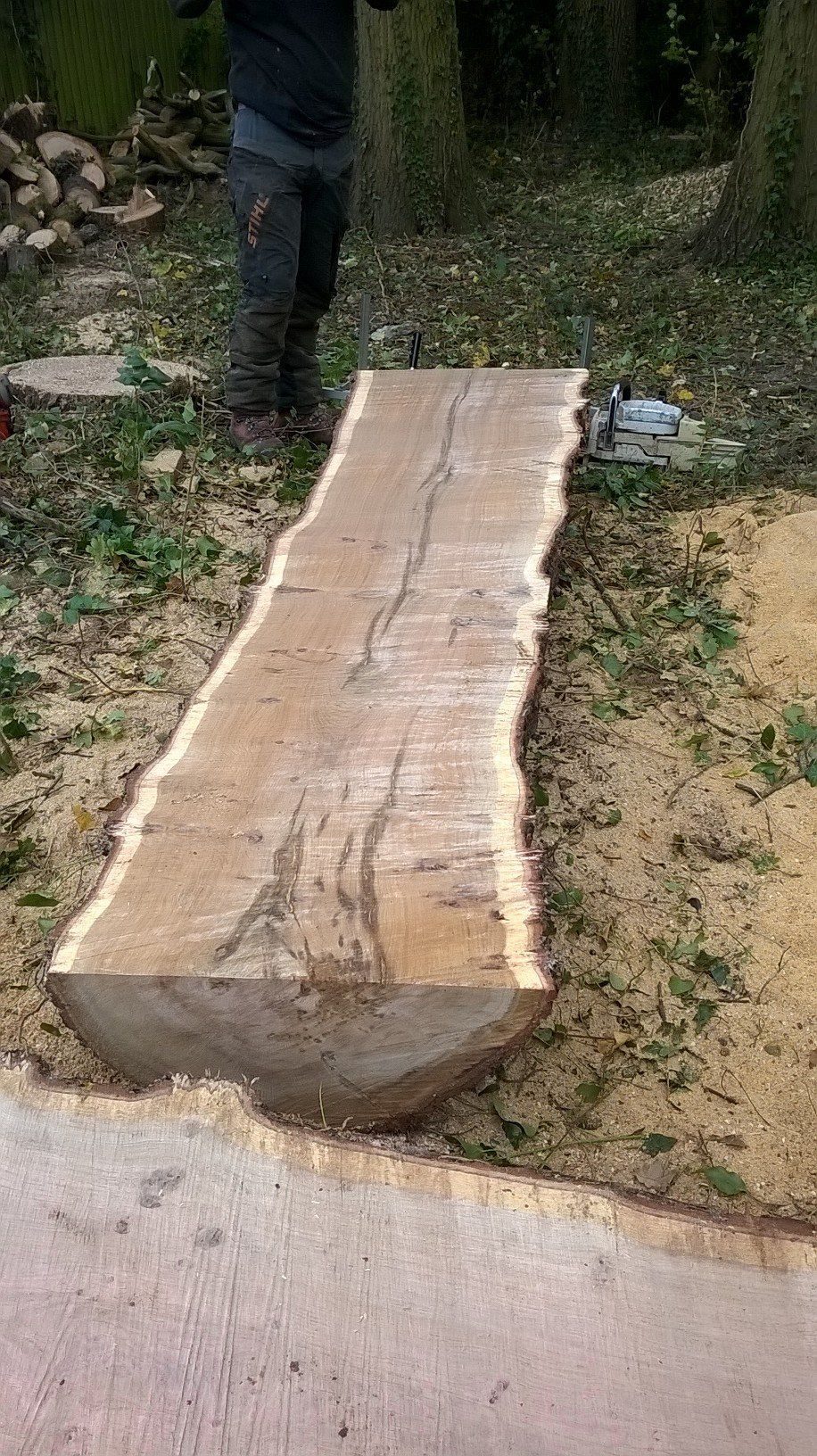 Tree trunk planks