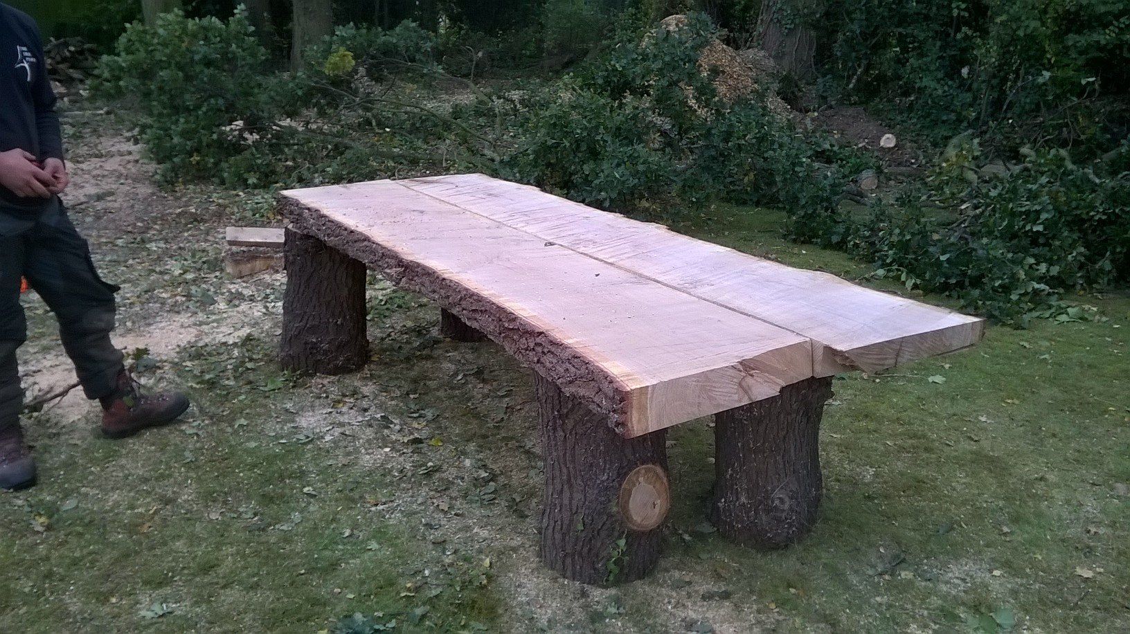 Wooden bench made from felled trees