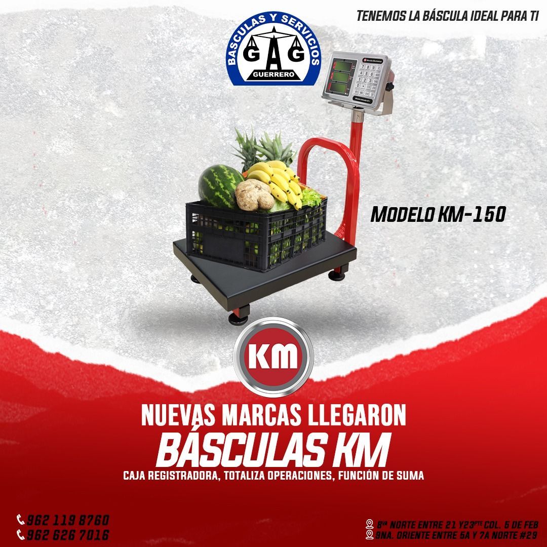 BÁSCULAS Y SERVICIOS GUERRERO