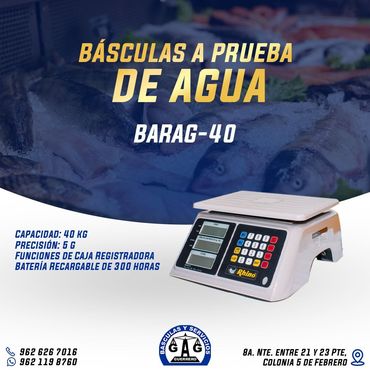 BÁSCULAS Y SERVICIOS GUERRERO