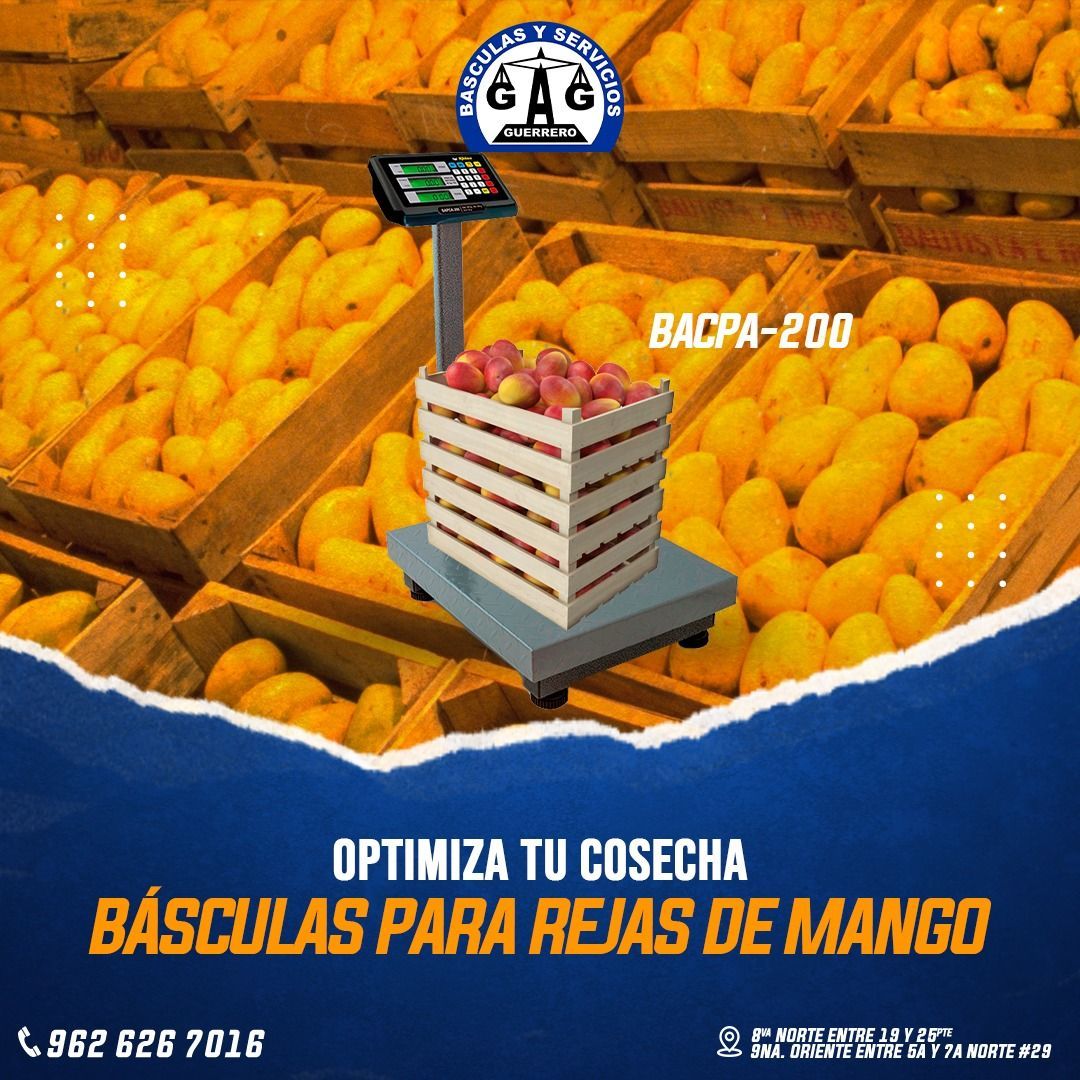 BÁSCULAS Y SERVICIOS GUERRERO
