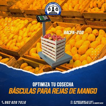 BÁSCULAS Y SERVICIOS GUERRERO