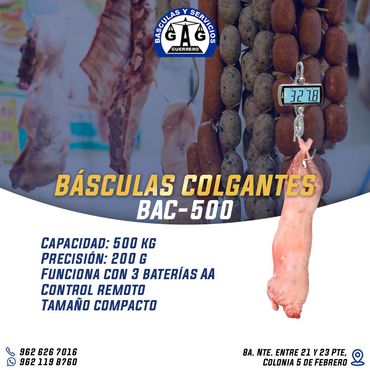 BÁSCULAS Y SERVICIOS GUERRERO