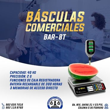 BÁSCULAS Y SERVICIOS GUERRERO