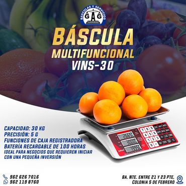 BÁSCULAS Y SERVICIOS GUERRERO