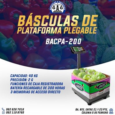 BÁSCULAS Y SERVICIOS GUERRERO