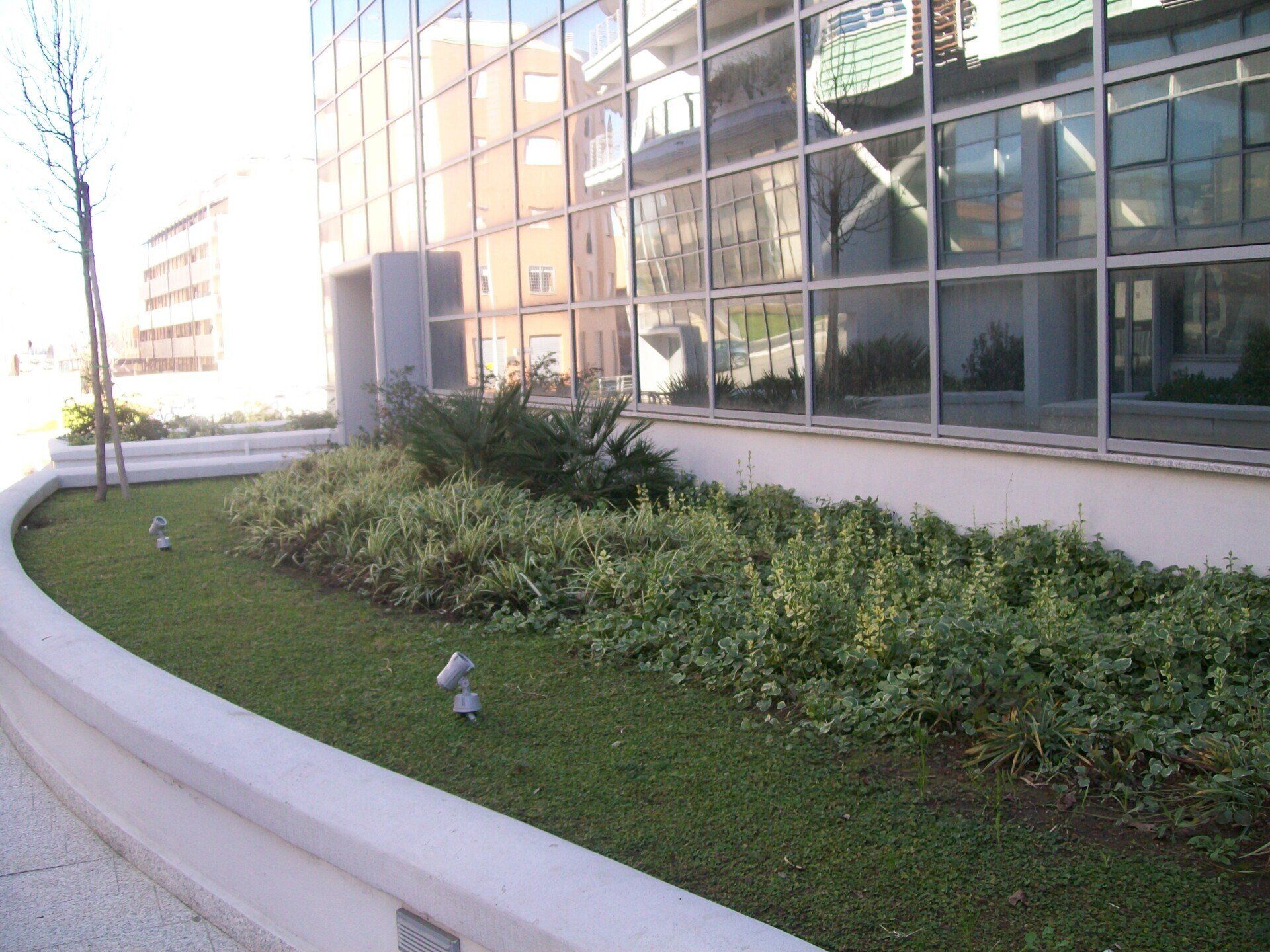 realizzazione aiuola