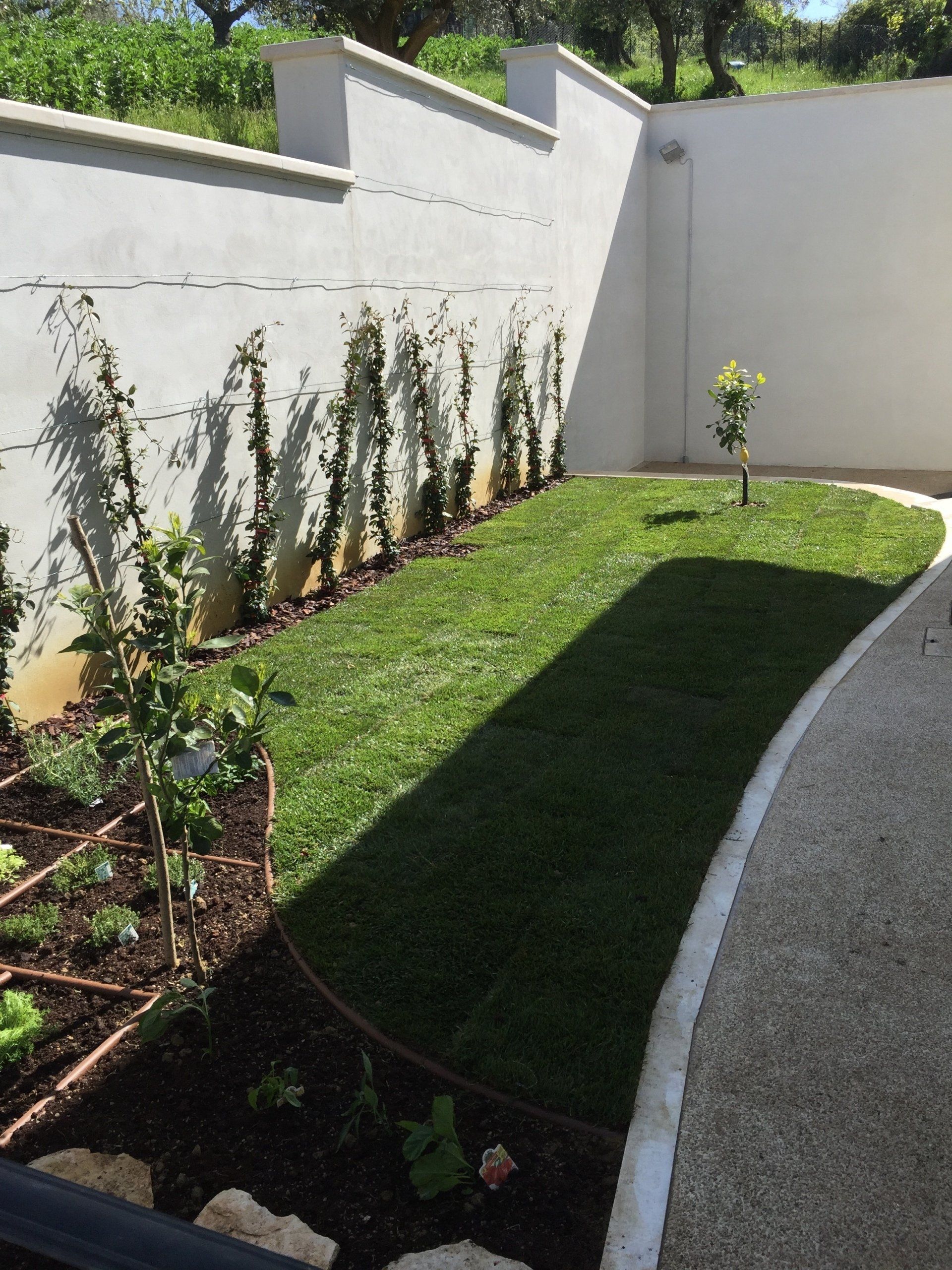 realizzazione giardini