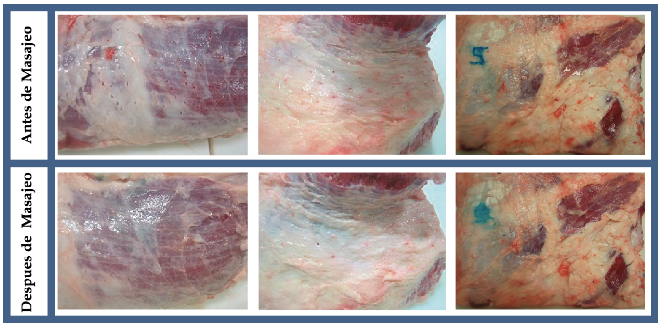 Beneficios de los masajeadores continuos