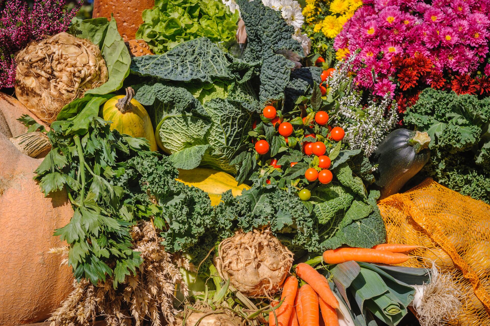 hierbas como antioxidantes