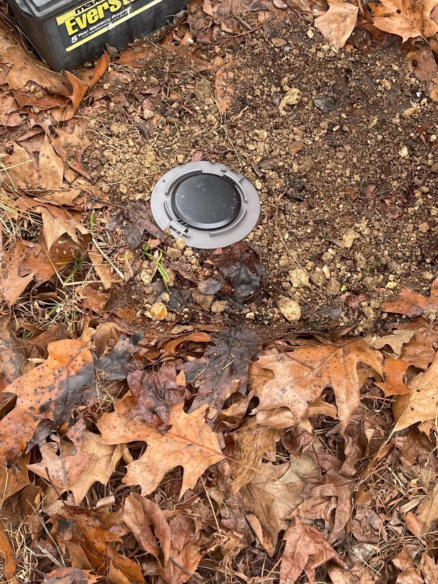 A close up of a hole in the ground surrounded by leaves.