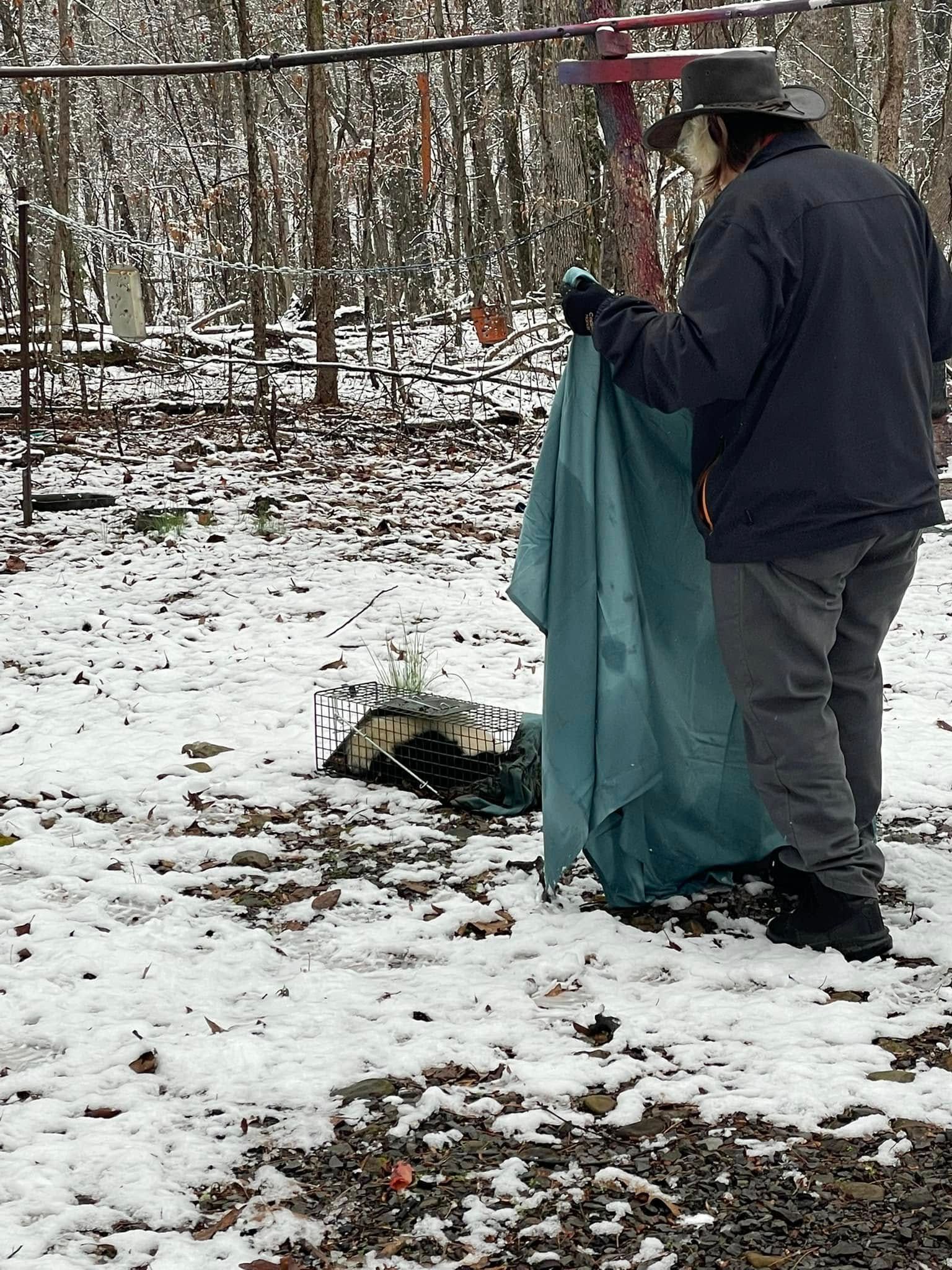 A man is standing in the snow holding a blue cloth.