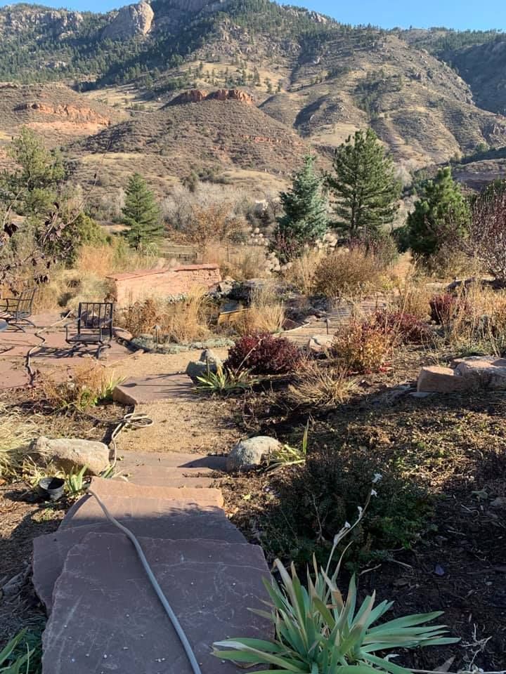 A path in the middle of a field with mountains in the background.