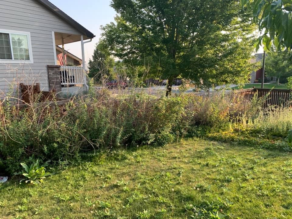 A house with a porch and a lush green yard in front of it.