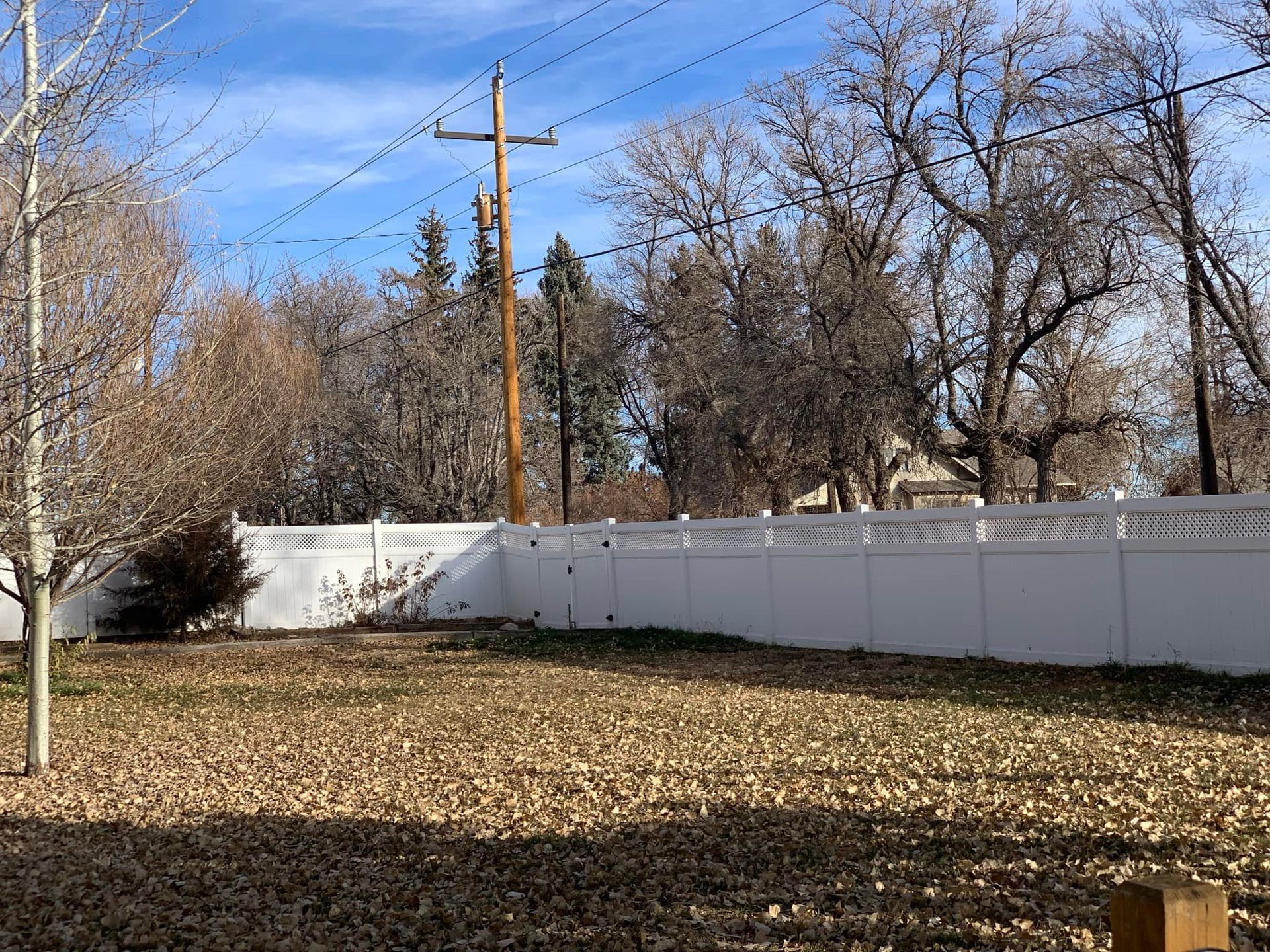 A backyard with a white fence and a lot of leaves on the ground.