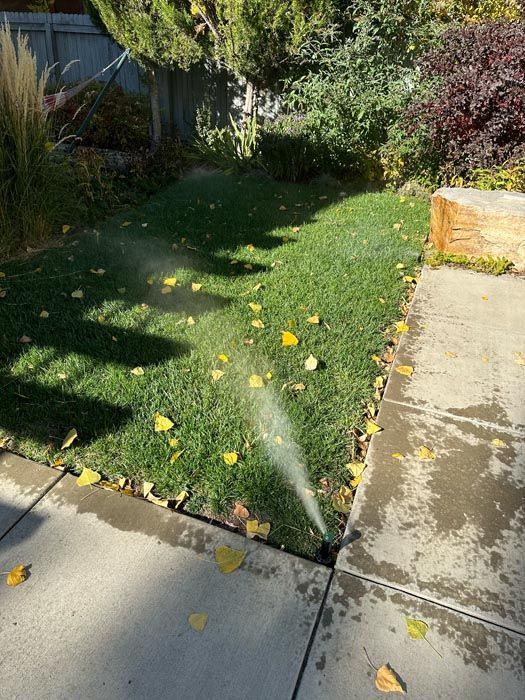 A lawn sprinkler is spraying water on a lush green lawn.