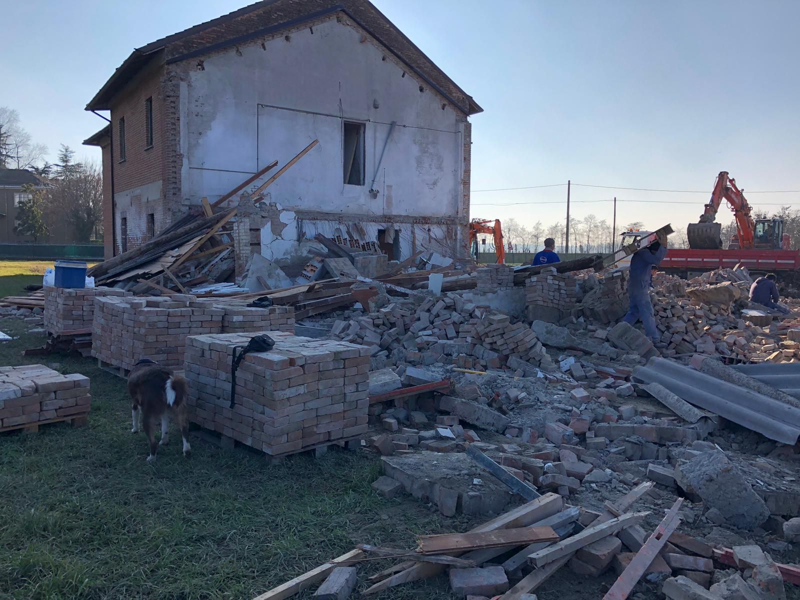 Un cane è fermo davanti a un edificio che sta per essere demolito.
