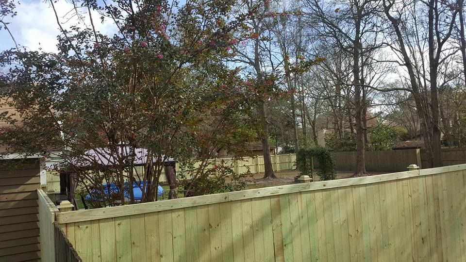 A wooden fence surrounds a yard with trees in the background.