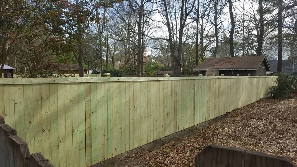 A wooden fence is surrounded by trees in a backyard.
