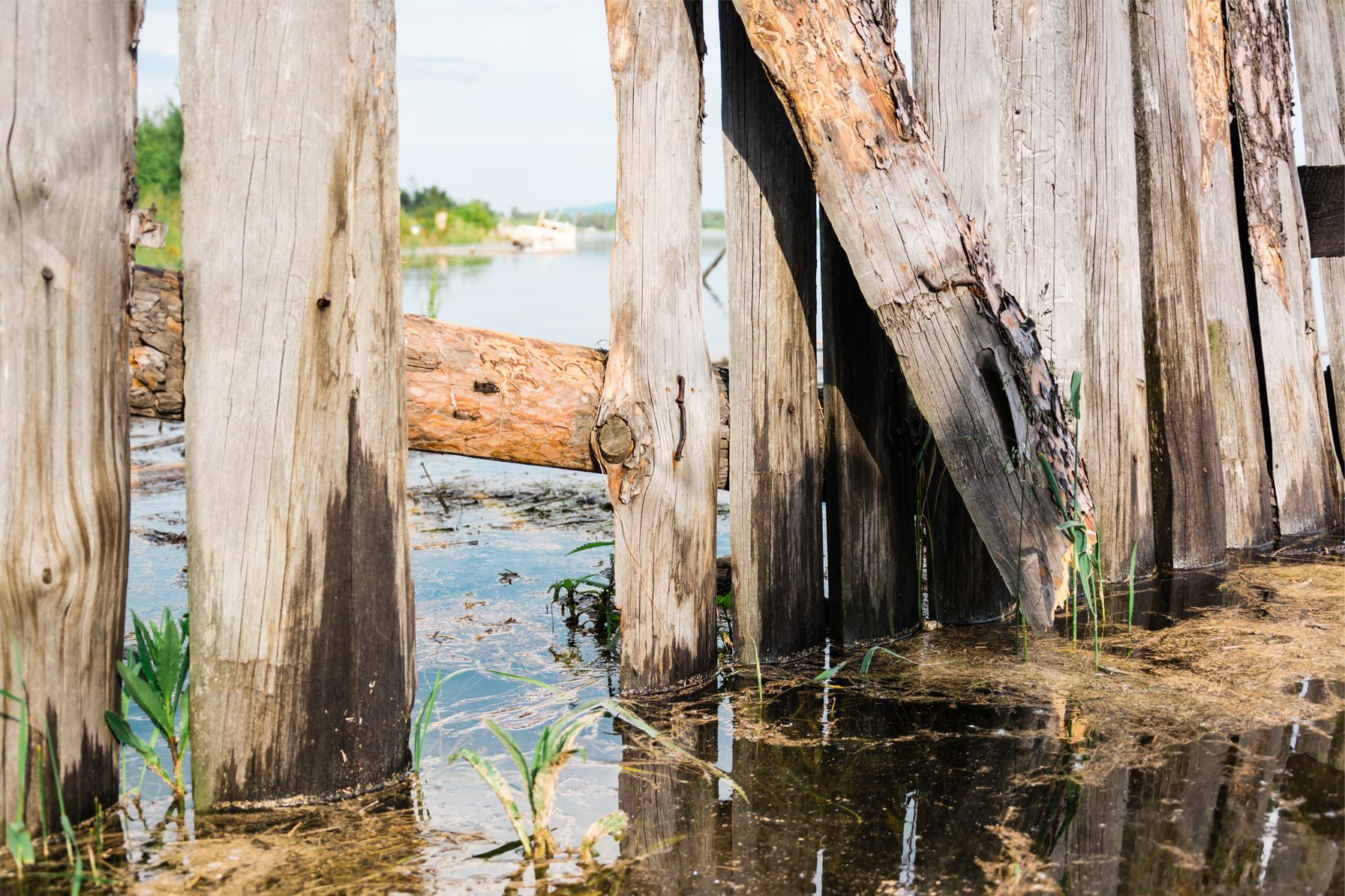 A wooden bridge over a river with a log in the water.