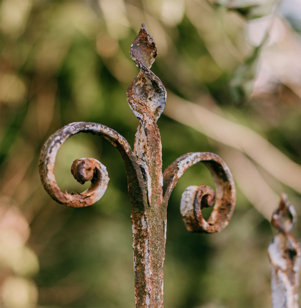 A close up of a rusty wrought iron fence post