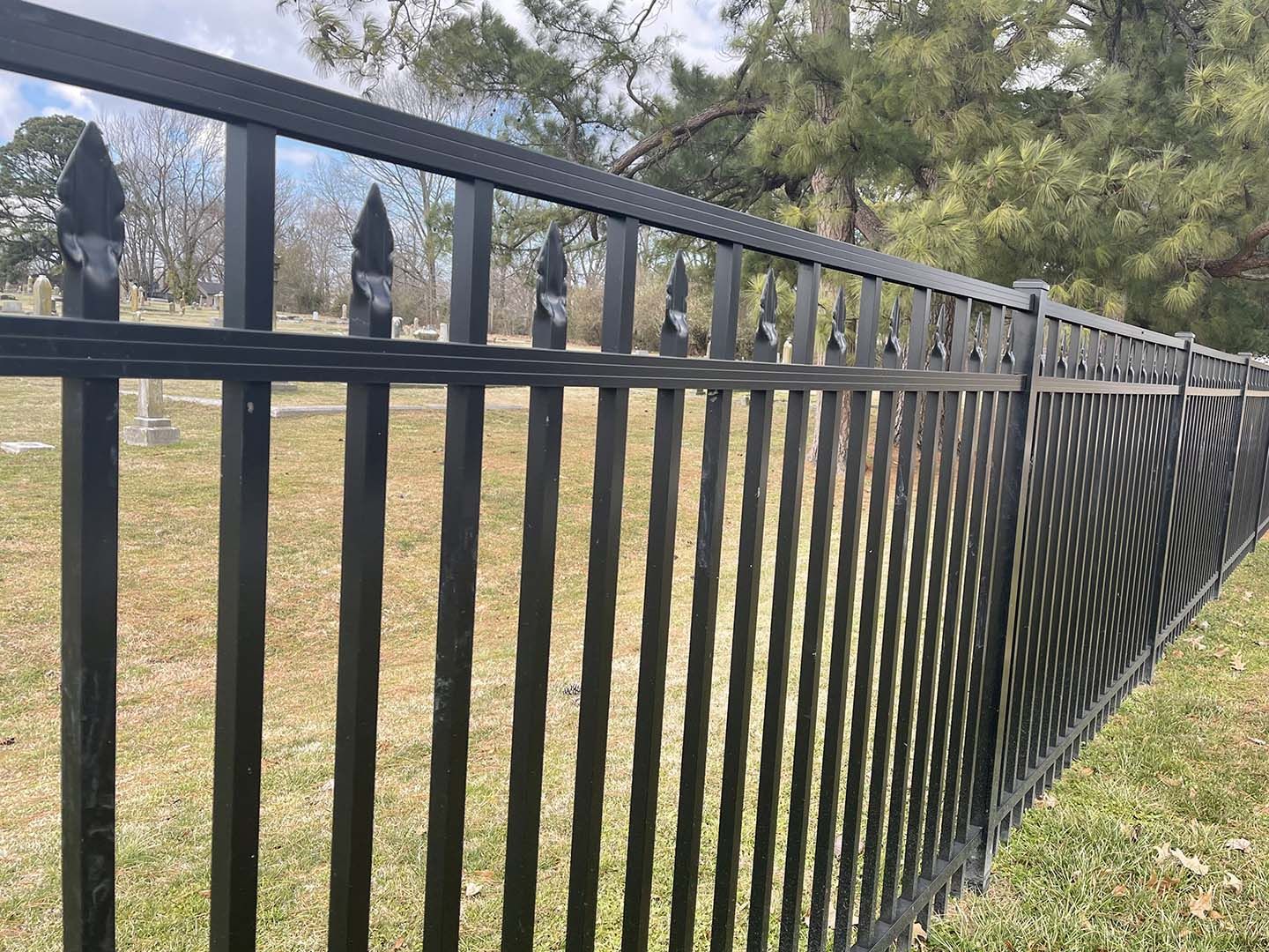 A black metal fence surrounds a grassy field with trees in the background.