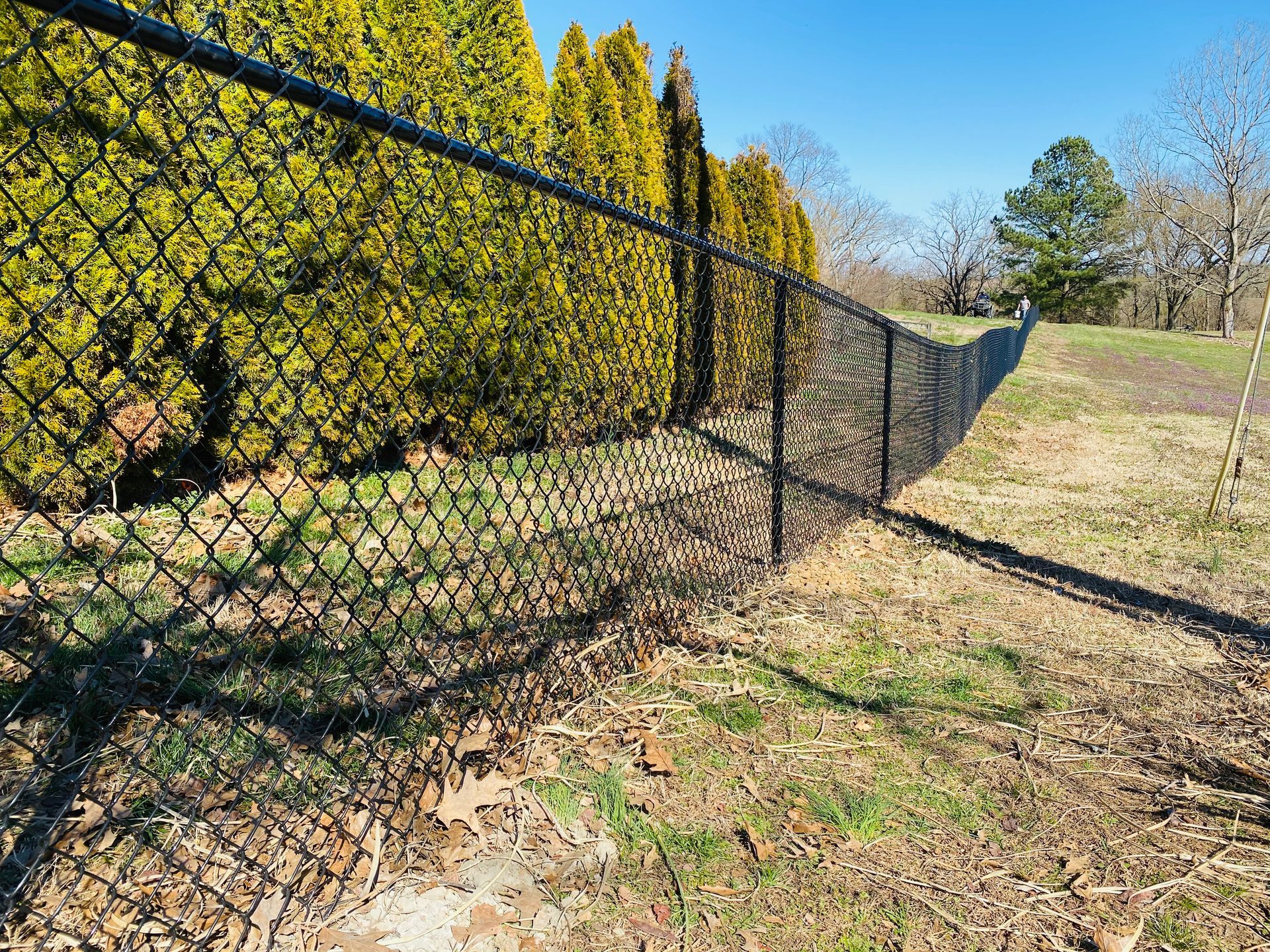 A chain link fence is surrounded by trees in a field.