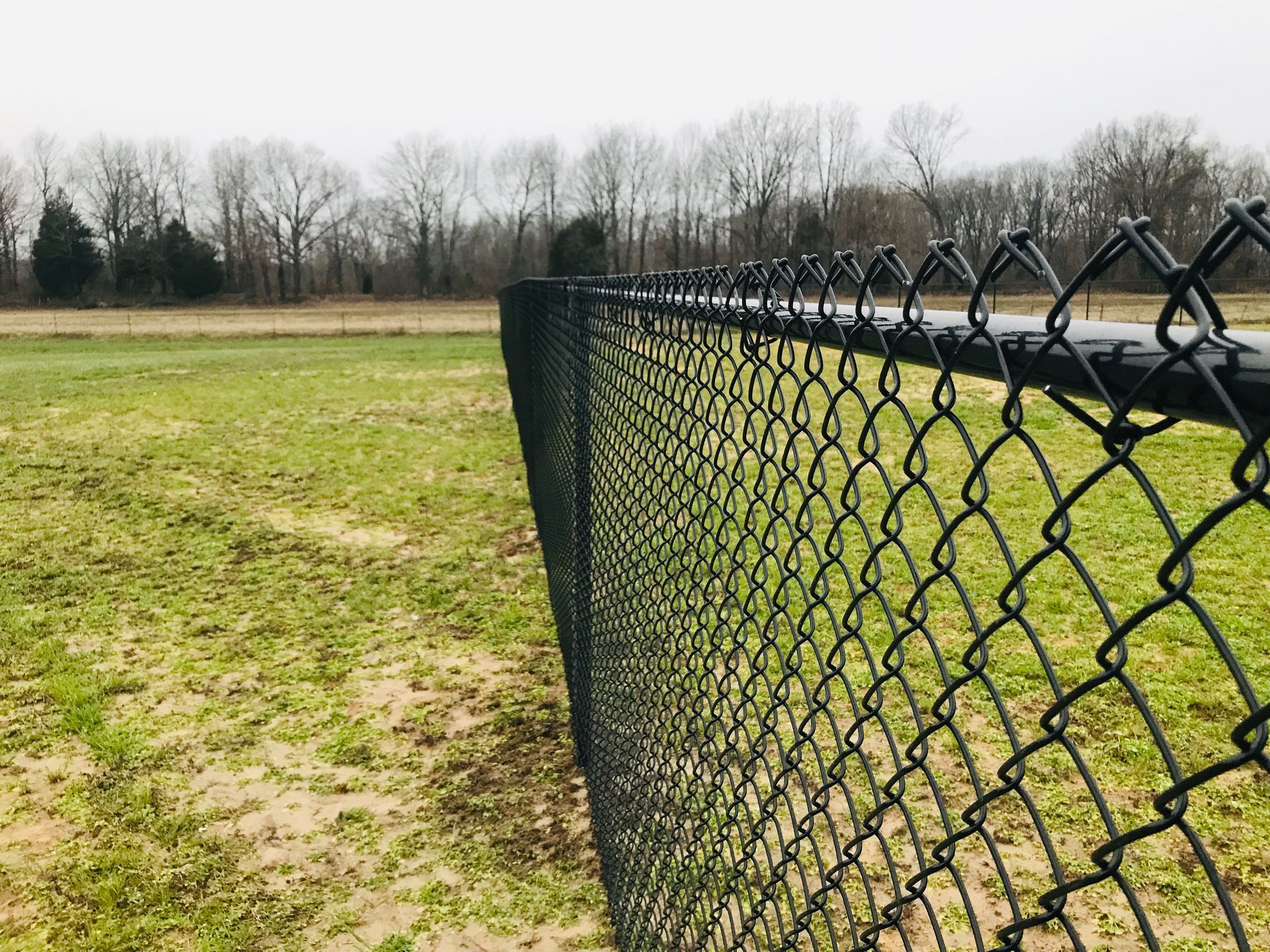 A chain link fence surrounds a grassy field with trees in the background.