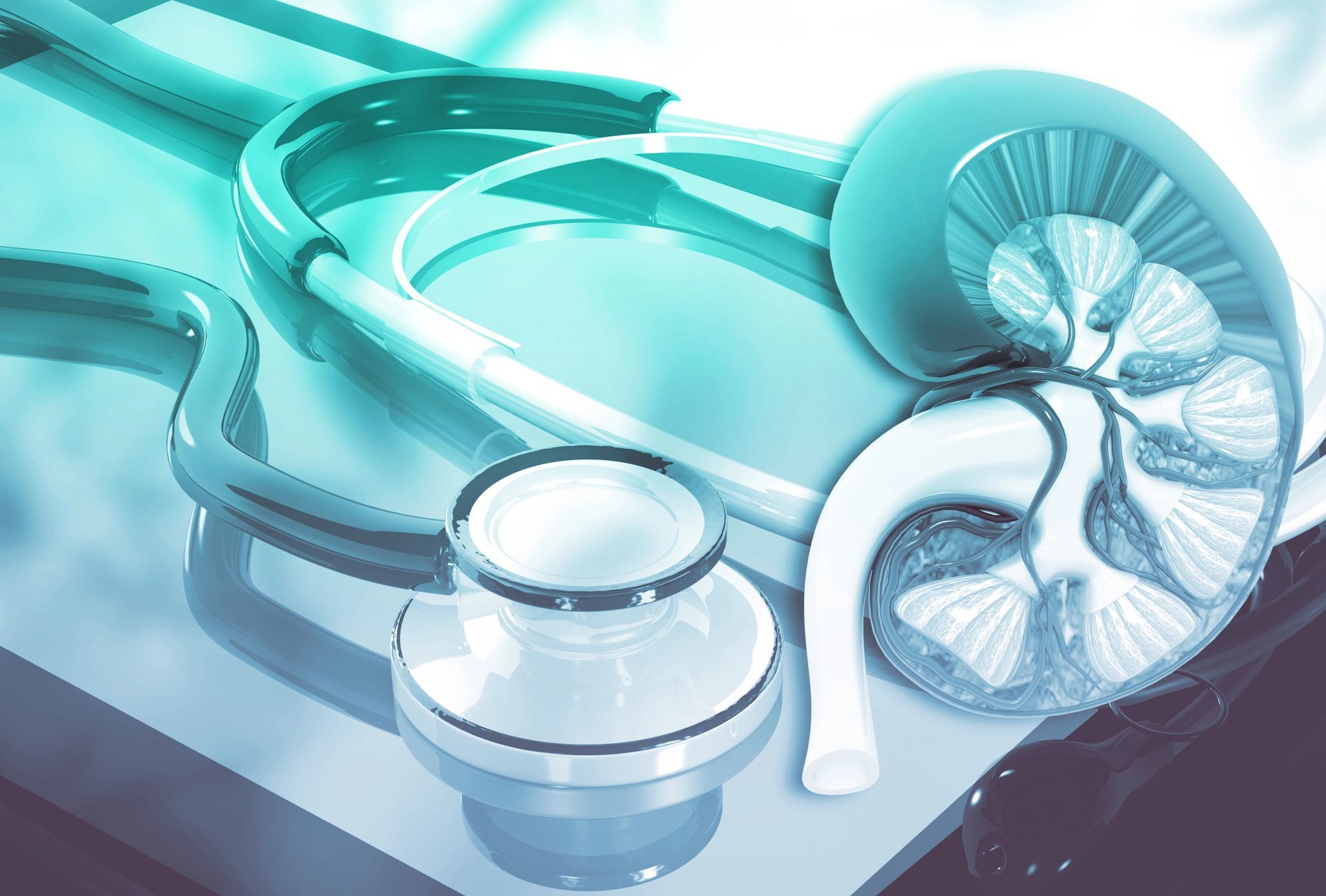 Sobre una mesa hay un estetoscopio y un modelo de riñón.