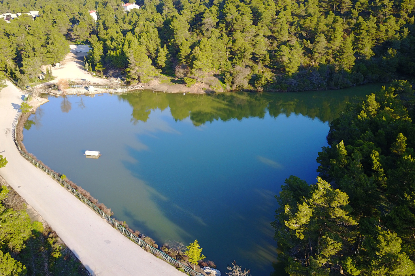 Lake Beletsi on Mount Parnitha surrounded by pine forest