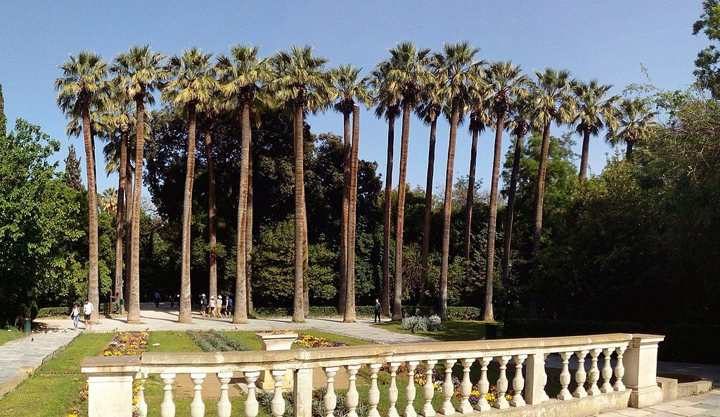 Palm-lined pathways and greenery in the National Garden of Athens