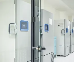 Warehousing & Inventory Management