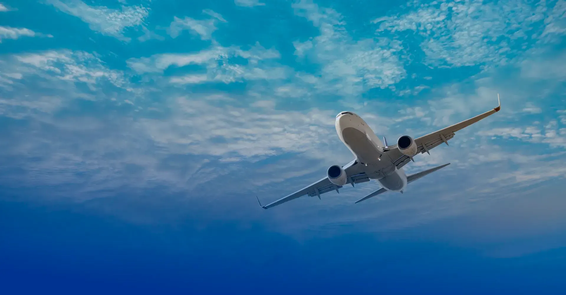 Partnering with the client for the success of the operation