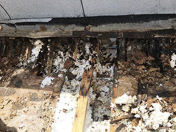 Rotten trusses more evidence that wet masonry walls transfer moisture to wood structural components