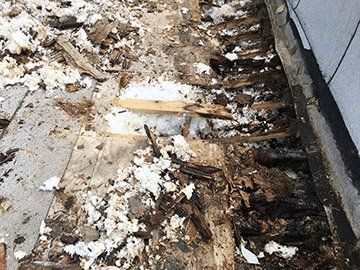 Rotten trusses, one truss broken near wall