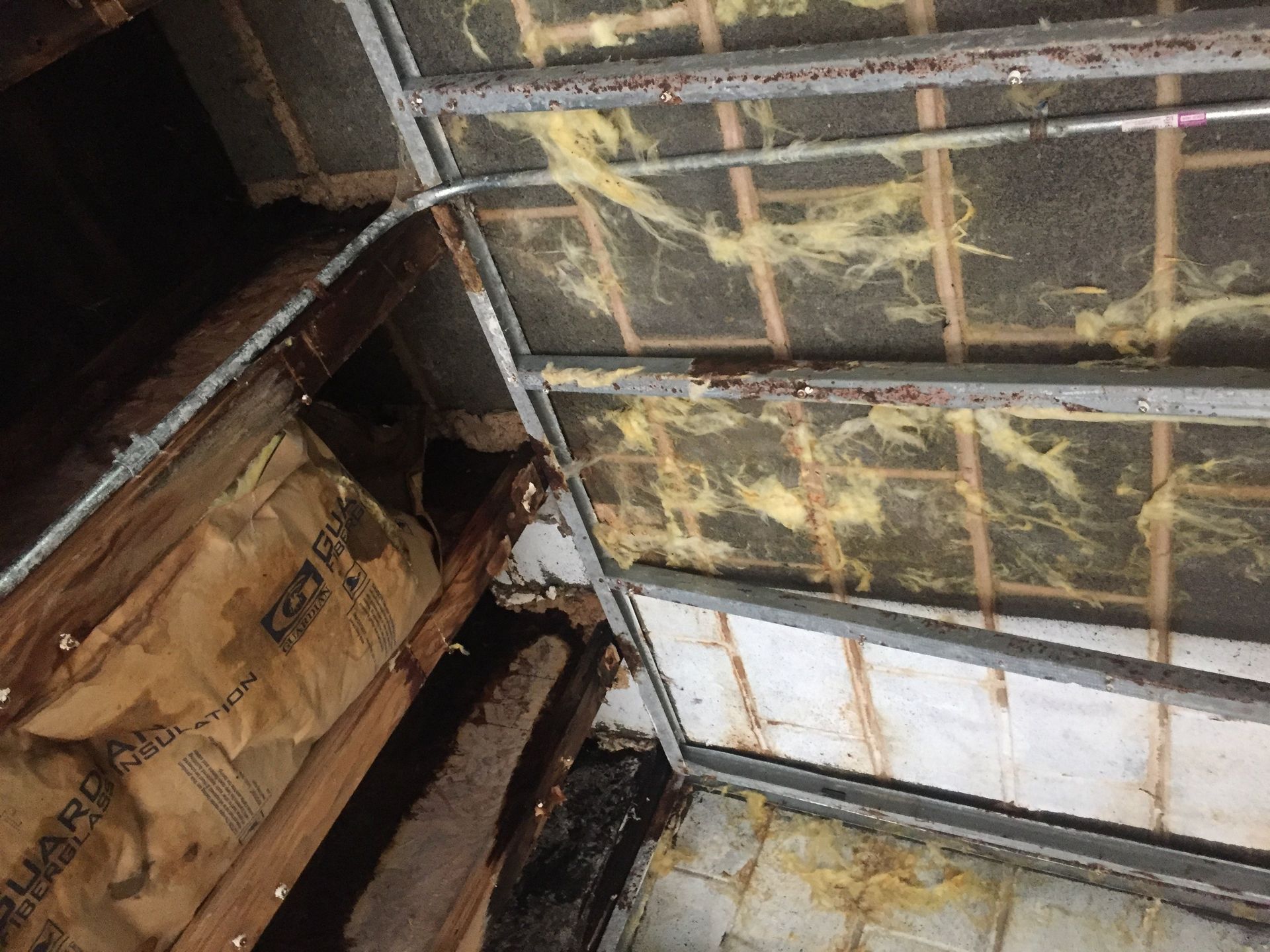 Wet trusses and insulation is garage ceiling