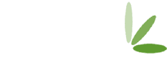 Olive PLumbing and Heating Services Logo